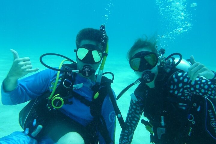 Half Day Scuba Diving Trip in the Florida Keys  - Photo 1 of 6